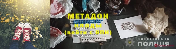 хмурый Ельня