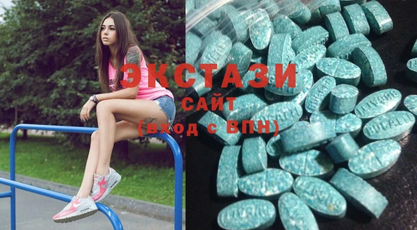 хмурый Ельня