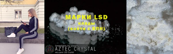 хмурый Ельня