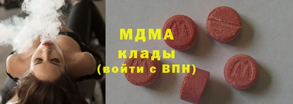 хмурый Ельня