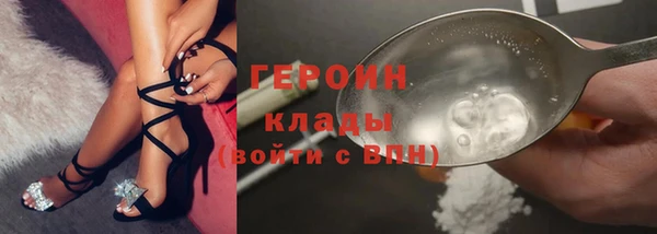 хмурый Ельня