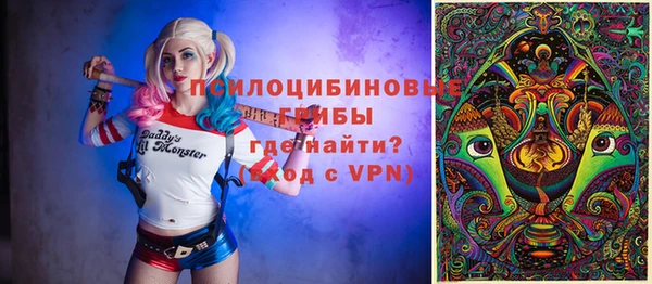 винт Елизово