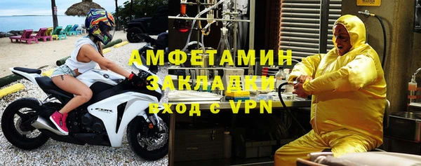 хмурый Ельня