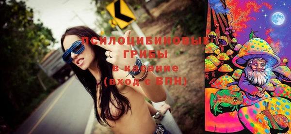 винт Елизово