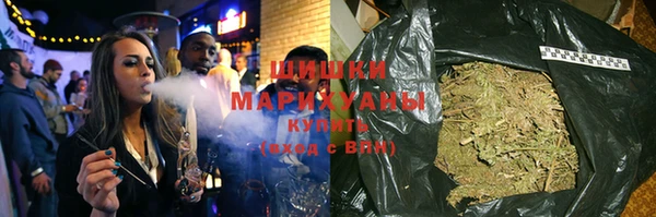 хмурый Ельня