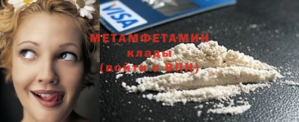 хмурый Ельня