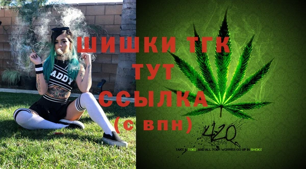 хмурый Ельня