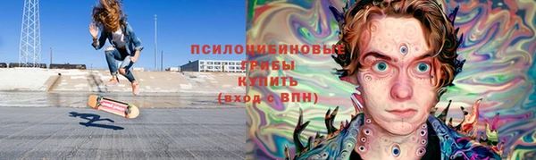 хмурый Ельня