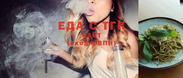 хмурый Ельня